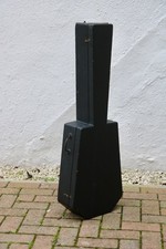 Vintage coffin-style small guitar/lute hard case (black, green-baize)