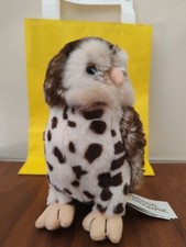 🦉 National Geographic Small