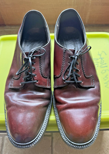 Hanover shepphard signature - hanover,