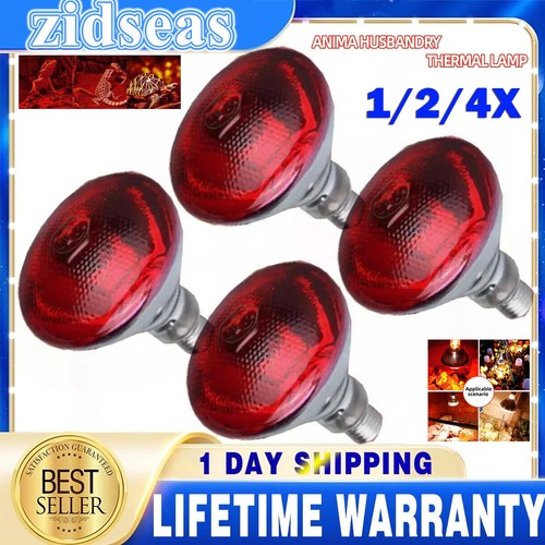 Infra red heat bulb lamp - infra,