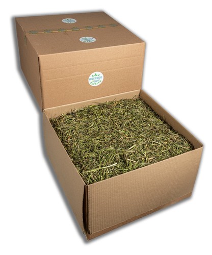 Lucerne alfalfa hay - lucerne,