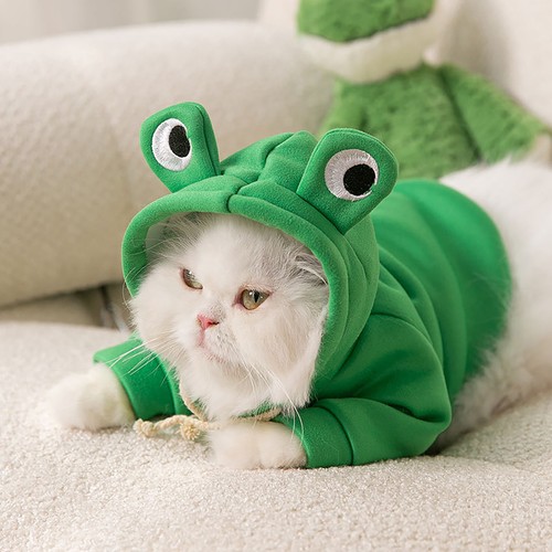 Pet for cats cat hoodies - cats,
