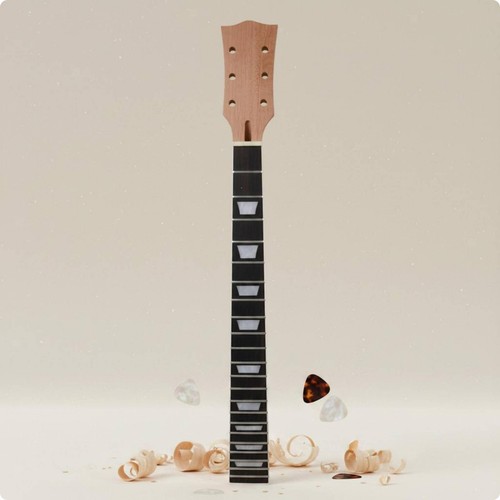 Les paul replacement neck - paul, easy