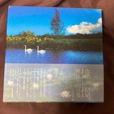 Cali Gari Water Lilies &