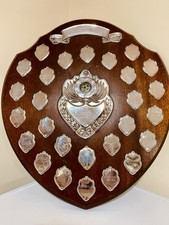🏆 Big Trophy Shield 17”