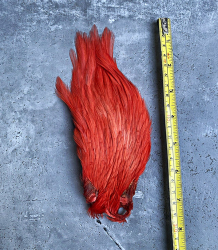 Cock cape indian grade - cape,