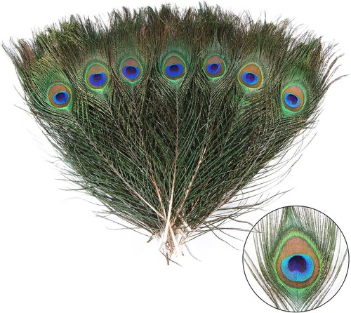12pcs natural peacock - natural,