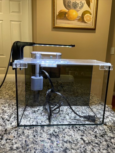 Fish tank good condition - fish,