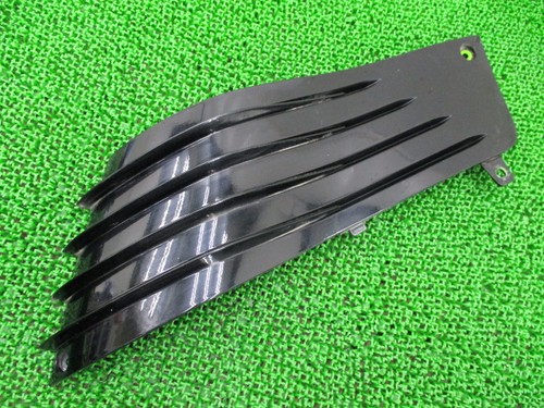 Kawasaki r1400 right - zz-r1400,
