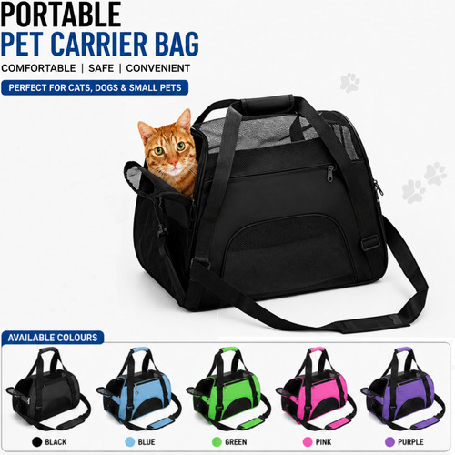 Large pet cat - cat, carrier