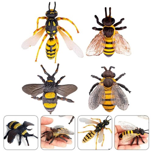 Plastic lifelike model - lifelike,