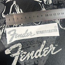 Stratocaster / fender / vinyl