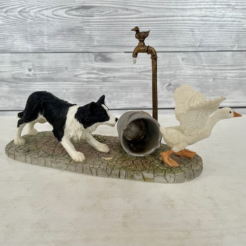Leonardo border collie - border,
