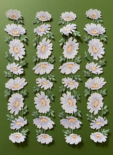 Tattered lace daisy - 4,