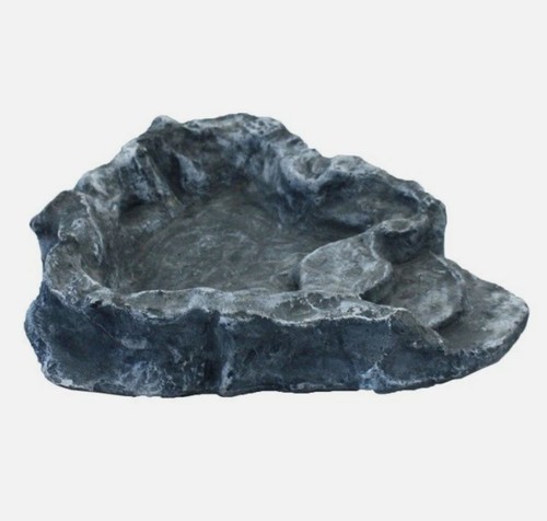 Komodo stone terraced reptile - terraced,