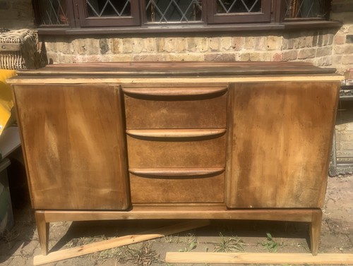 Rare mid century - mid, maples