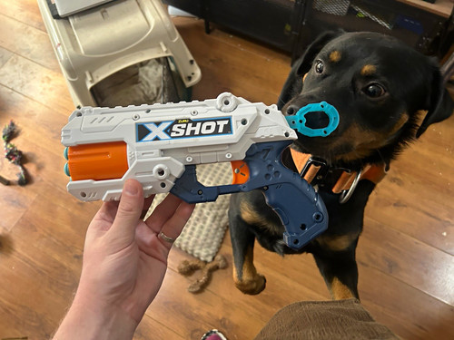 Zuru xshot foam dart gun - xshot,