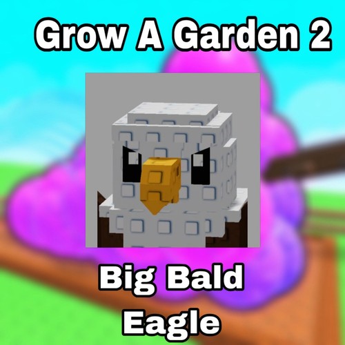 Big bald eagle - 🌱big,