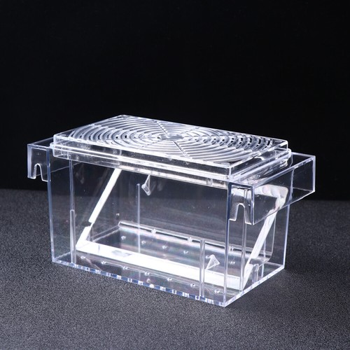 Brine shrimp hatchery - brine,