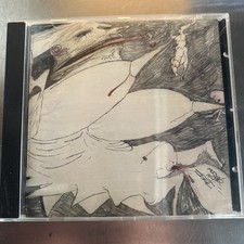 RUDIMENTARY PENI - Echoes of