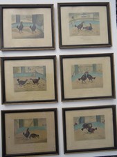 Cock Fighting Handcoloured