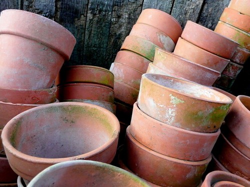 Photo 6x4 lots - lots, pots