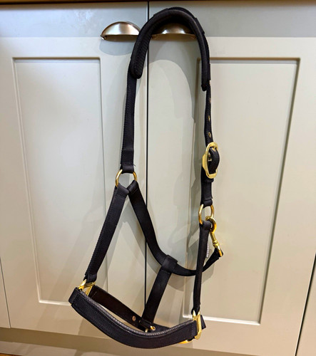 Equestrian full size - equestrian,