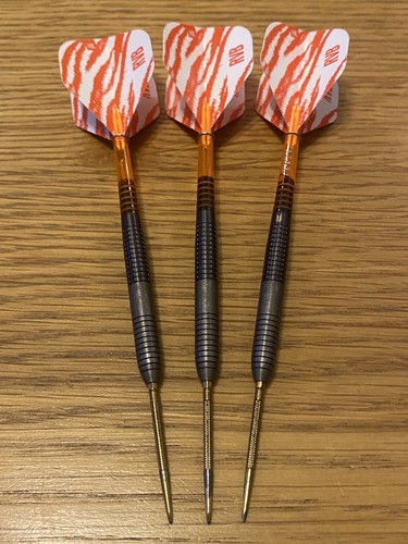 Target raymond van barneveld - target,