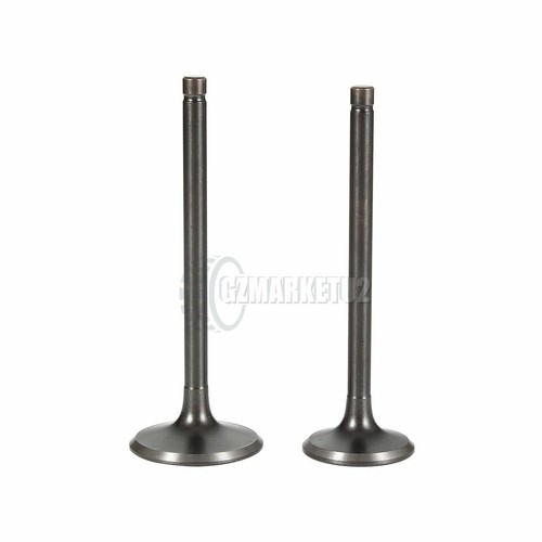 Intake and exhaust - valves, kit