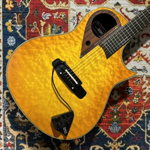 Morris acoustic electric - morris,