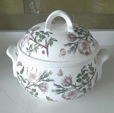 Portmeirion Botanic garden