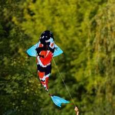 Koi Kite Koi Fish Windsock
