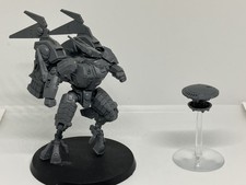 Tau Commander In Coldstar