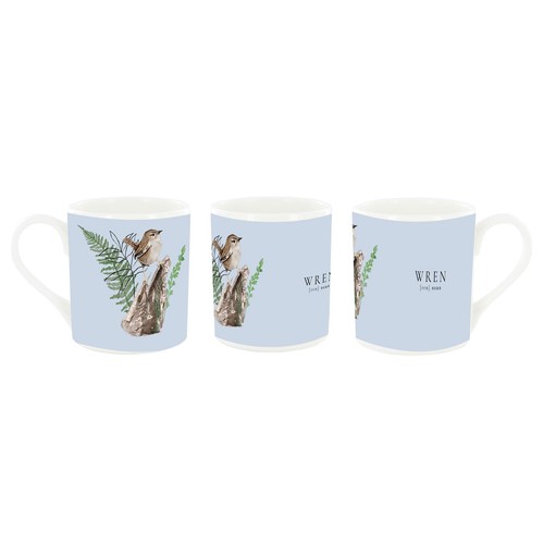Wren bird garden blue - bird,