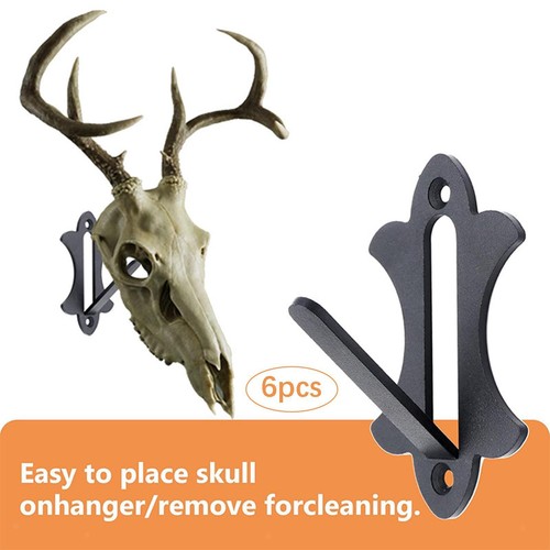Pieces deer skull - 6,
