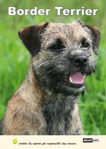 Border terrier dog breed - terrier:,