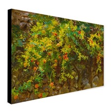 Pomegranates - Majorca by John