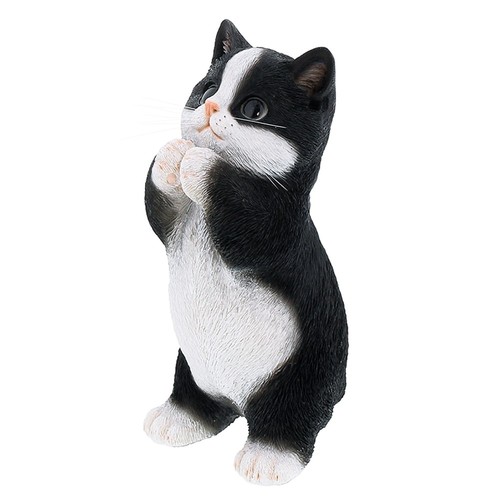 Cat figurine polyresin begging - figurine,