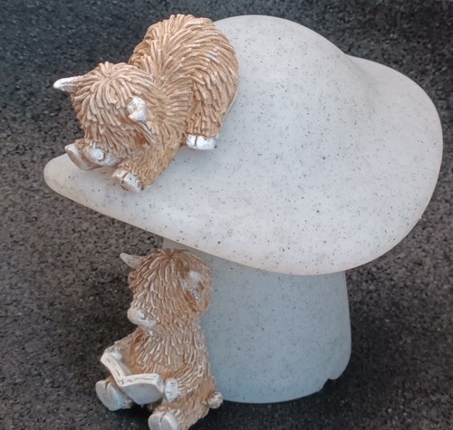 New next toadstool - new,
