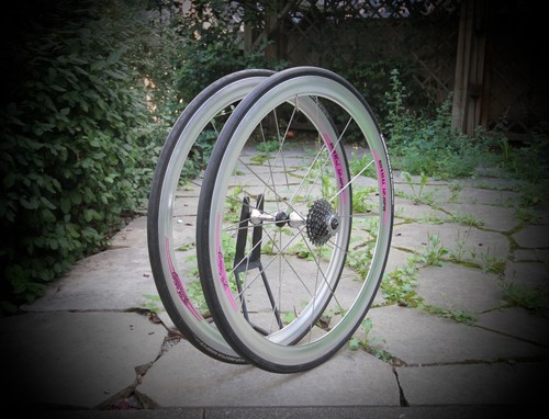 Campagnolo shamal hpw 8sp - campagnolo, 12