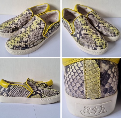Ash impuls ladies size - ladies,