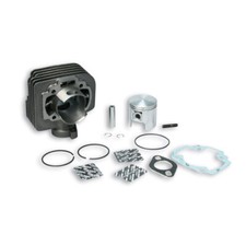 Malossi Cylinder D 47 Cast