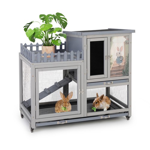 Wood rabbit hutch bunny - rabbit,