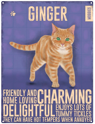 Ginger cat moggie metal - cat,