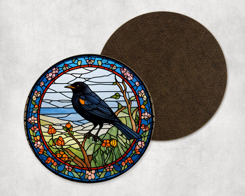 Cute blackbird wild bird - blackbird,