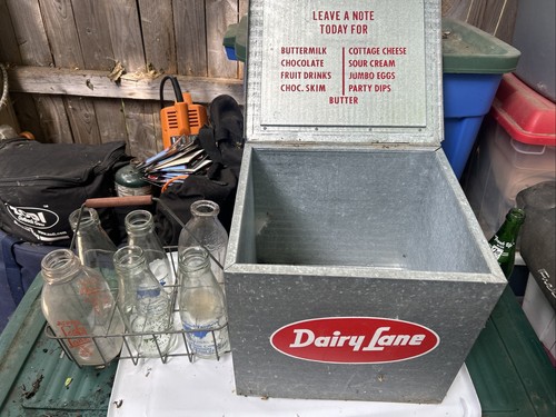 Dairy lane milking equipment - dairy, lane.