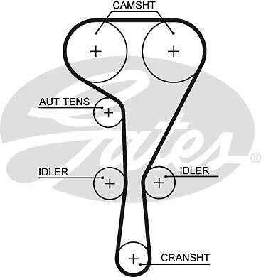 New timing belt for - belt,