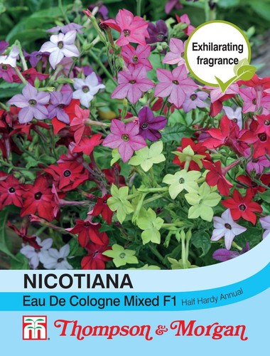 Thompson morgan flowers - morgan,