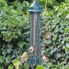 Brome Squirrel Buster Finch