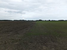 Photo 6x4 Fields to the east
